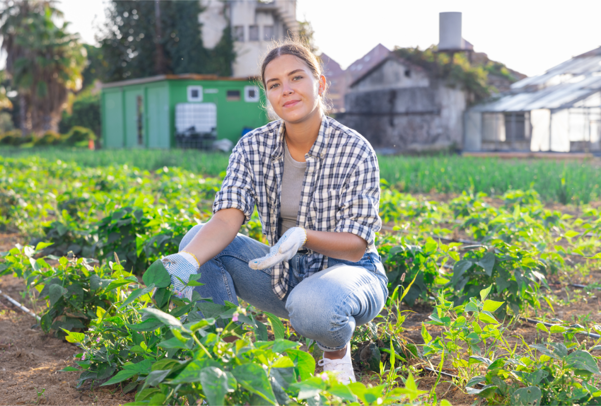 Nos producteurs  - Candide - restaurant FRONTIGNAN-DE-COMMINGES - manger a FRONTIGNAN-DE-COMMINGES