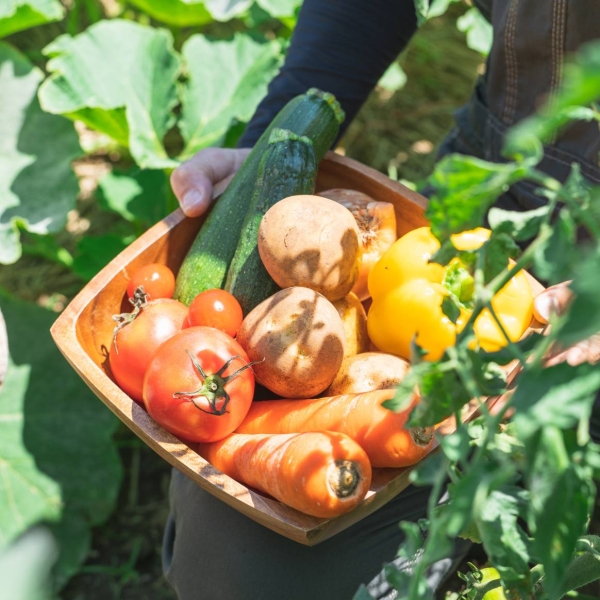 Nos producteurs  - Candide - restaurant FRONTIGNAN-DE-COMMINGES - manger a FRONTIGNAN-DE-COMMINGES